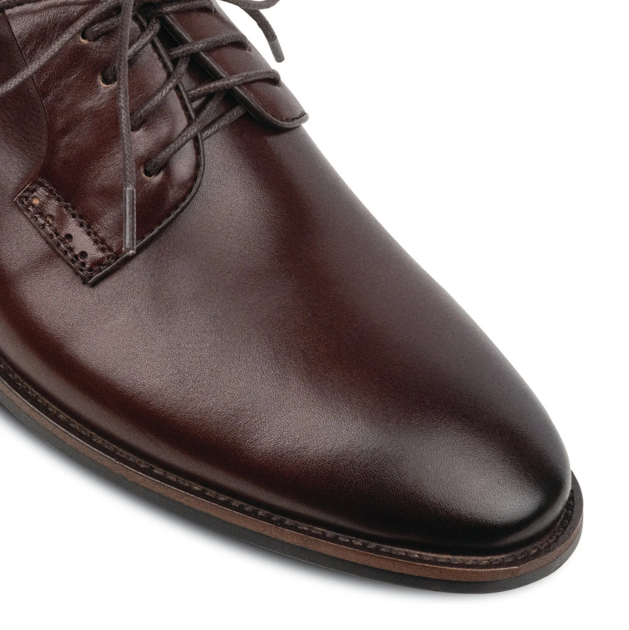 Damian Derby Brown