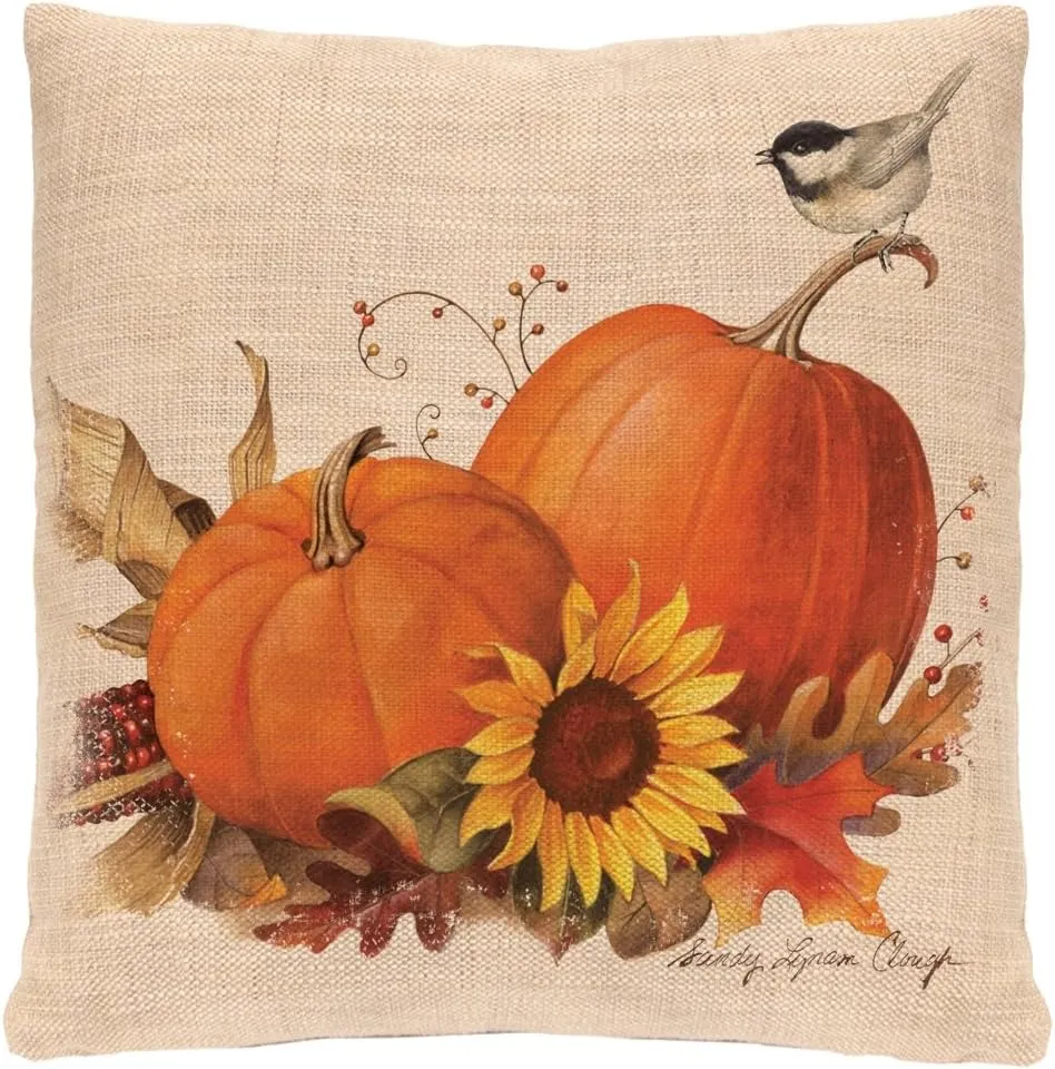 Heritage Lace Harvest Pumpkin Woven Pillow, 18 by 18-Inch, Natural