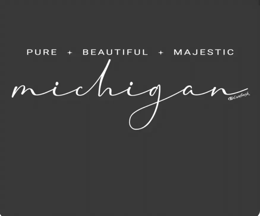 "Majestic Michigan" Soft Style Relaxed Fit Hoodie